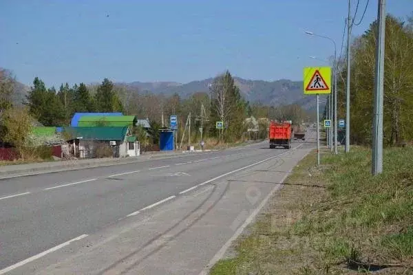 Участок в Алтай, Майминский район, Соузгинское с/пос, пос. Черемшанка  ... - Фото 0