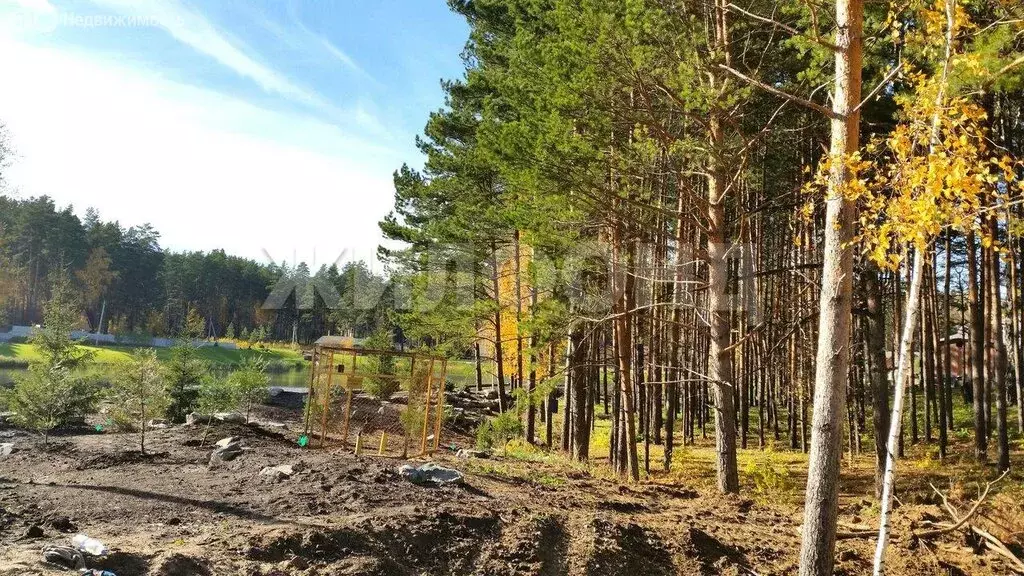 Участок в Мочищенский сельсовет, дачный посёлок Мочище, улица Лесная ... - Фото 2