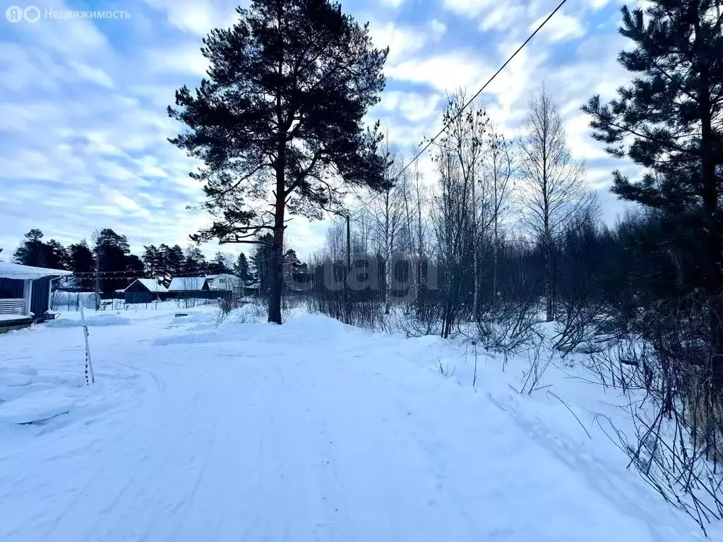 Участок в Прионежский район, село Деревянное (15 м) - Фото 2
