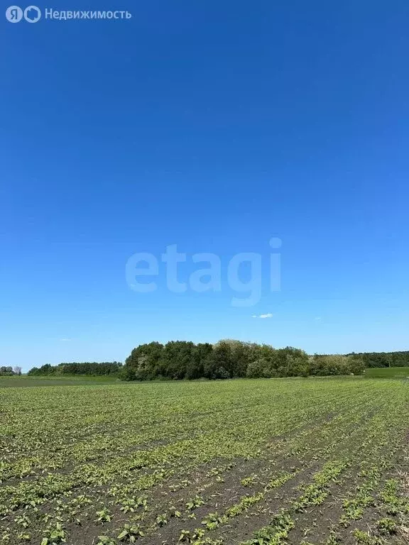 Участок в село Стрелецкое, СНТ Северное-АПК (179.49 м) - Фото 0