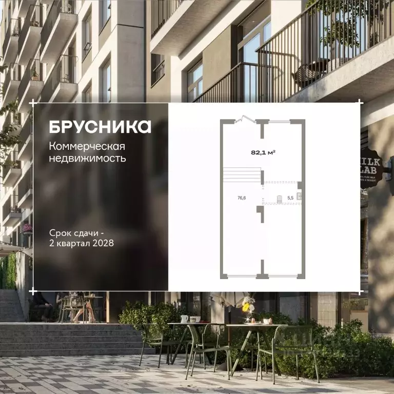 Помещение свободного назначения в Новосибирская область, Новосибирск ... - Фото 1