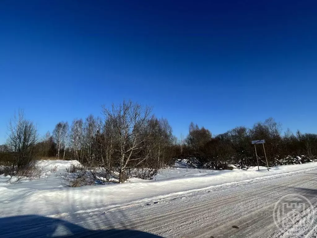 Участок в Ленинградская область, Лужский район, Скребловское с/пос, д. ... - Фото 1