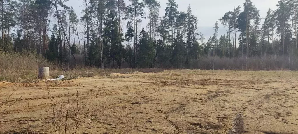Участок в Московская область, Балашиха городской округ, д. Полтево  ... - Фото 2