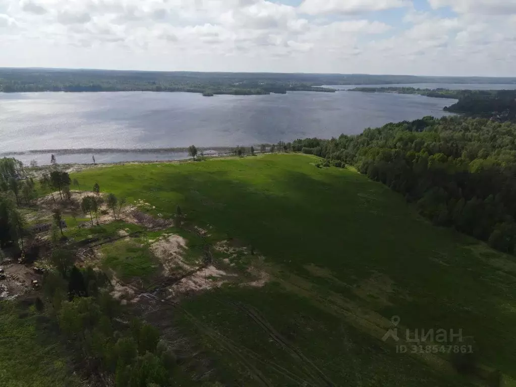Участок в Ленинградская область, Выборгский район, Полянское с/пос, ... - Фото 1