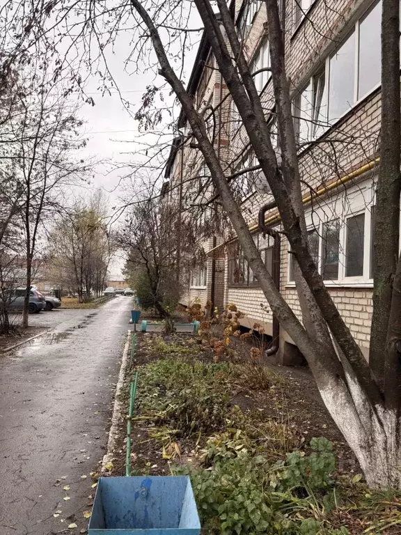 2-к кв. Оренбургская область, Бузулук Гая ул., 93 (48.5 м) - Фото 1