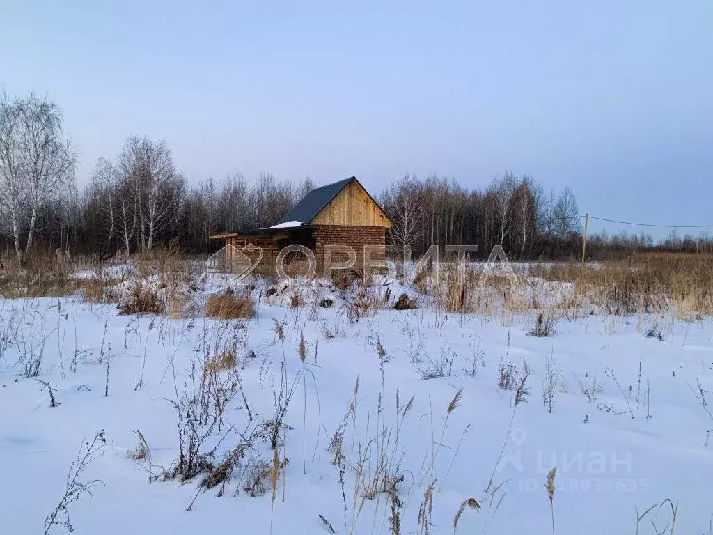 Участок в Тюменская область, Тюмень Яровское садовое товарищество, ул. ... - Фото 0