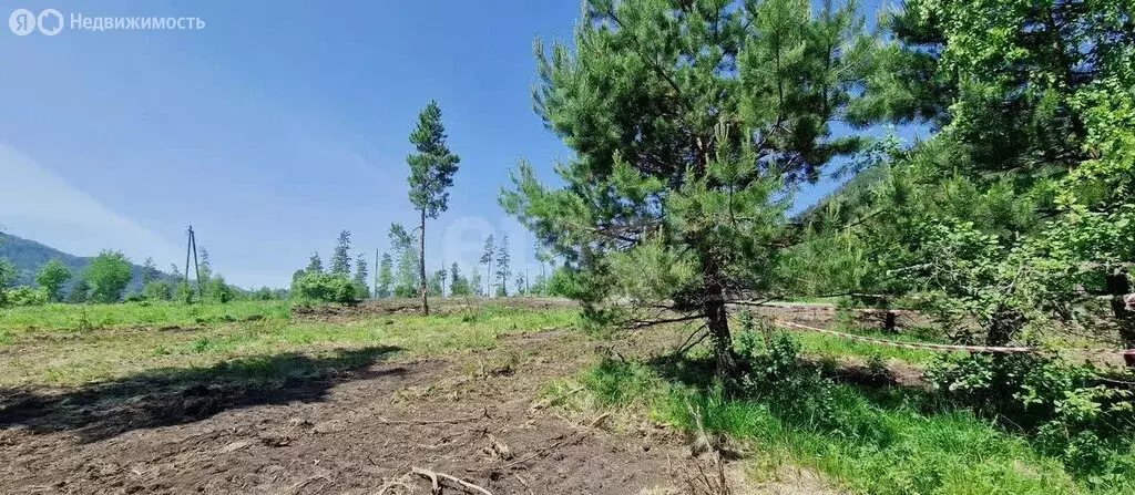 Участок в село Узнезя, Сосновая улица (12 м) - Фото 2