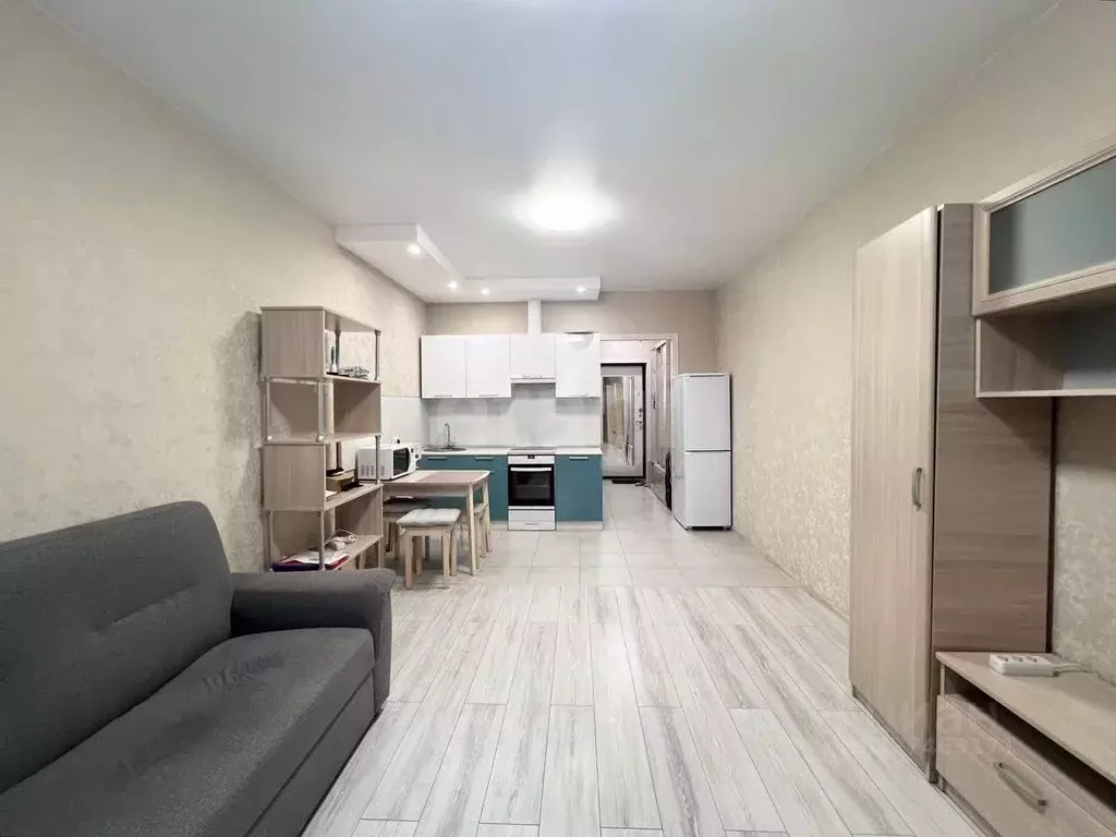 Студия Санкт-Петербург пос. Парголово, Заречная ул., 10 (28.5 м) - Фото 1