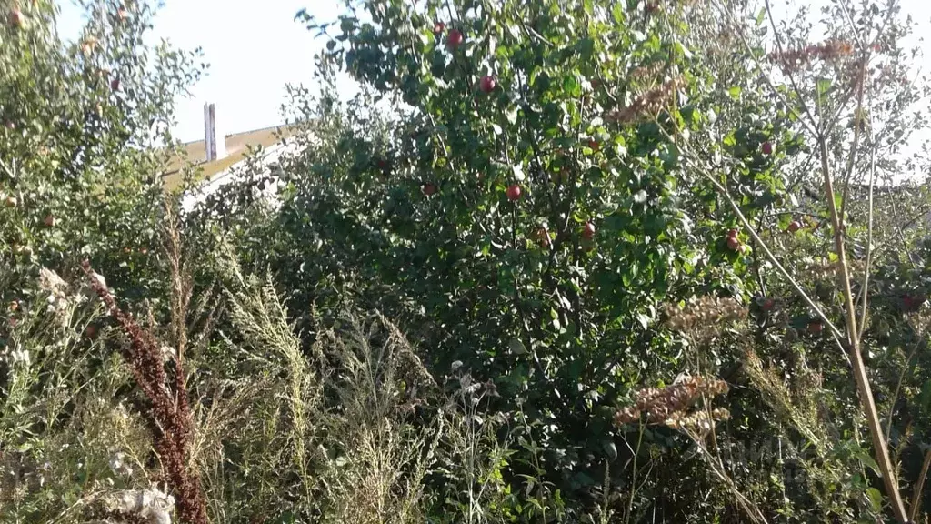 Дом в Башкортостан, Стерлитамакский район, с. Буриказганово ул. ... - Фото 1