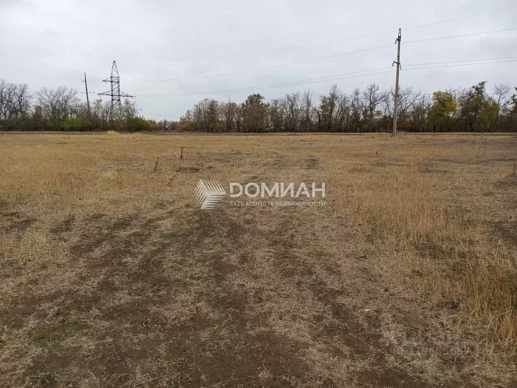 Участок в Ростовская область, Октябрьский район, пос. Персиановский ... - Фото 2