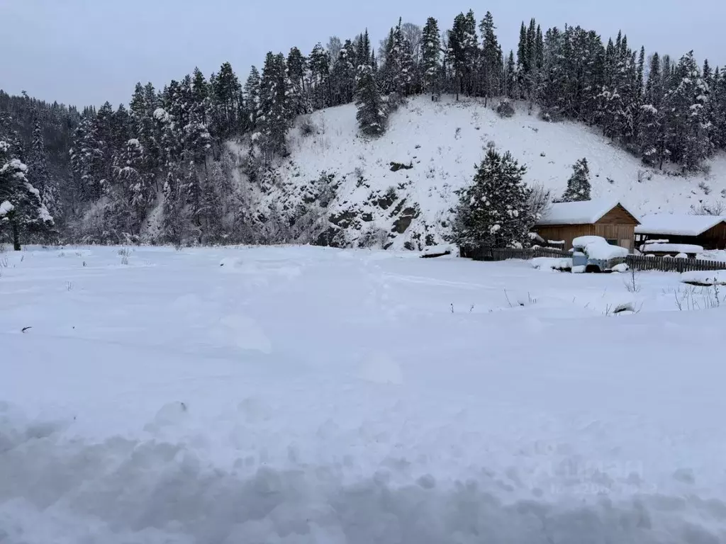 Участок в Алтай, Чойский район, с. Паспаул Ишинская ул. (15.0 сот.) - Фото 2