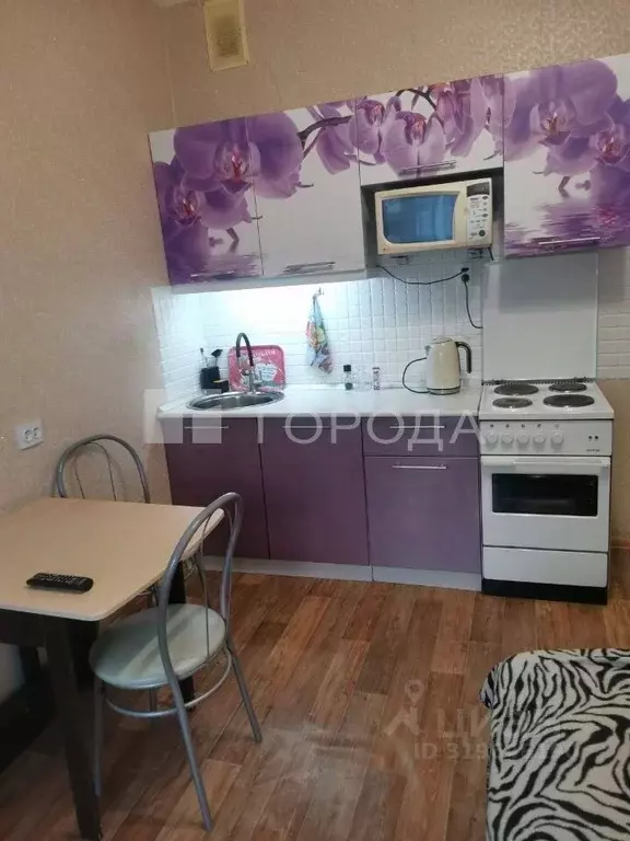 Студия Новосибирская область, Новосибирск ул. Одоевского, 1/7 (20.0 м) - Фото 1