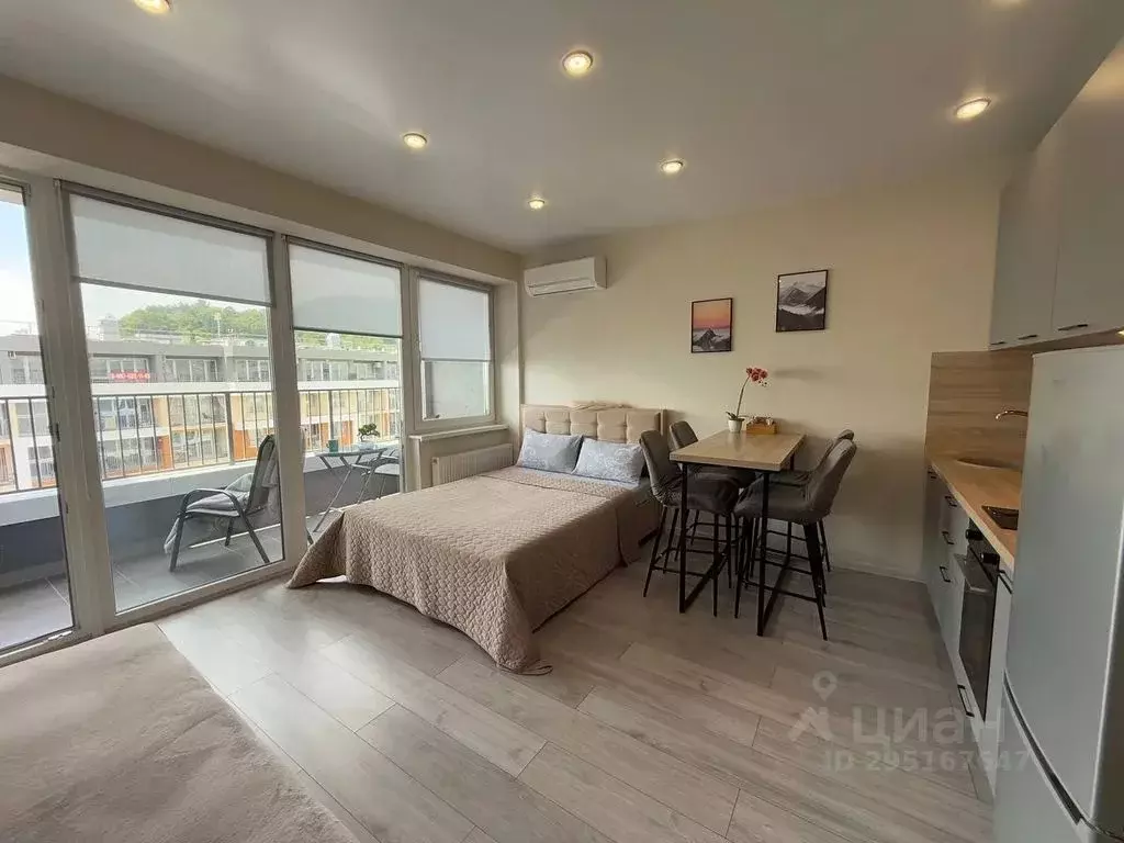 Студия Краснодарский край, Сочи городской округ, Дагомыс пгт ул. ... - Фото 1