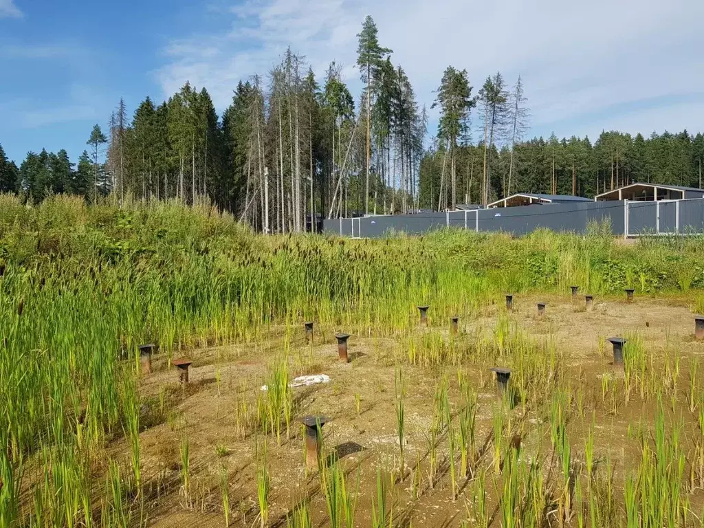 Участок в Ленинградская область, Сертолово Всеволожский район,  (10.0 ... - Фото 2