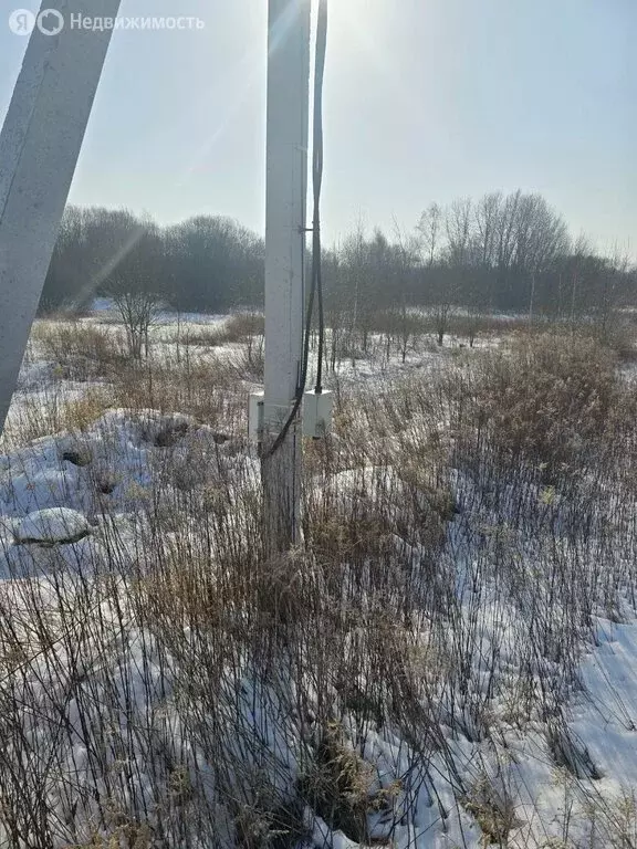 Участок в Калининградская область, Гурьевский муниципальный округ, ... - Фото 2