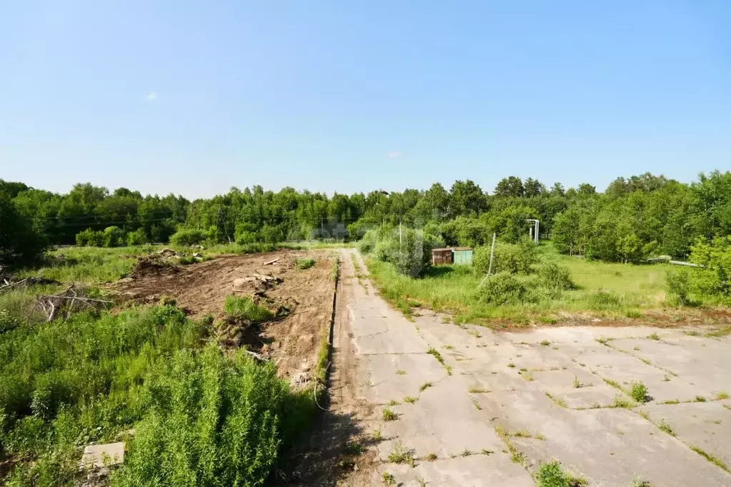 Участок в Томская область, Северск ул. Тургенева (8.3 сот.) - Фото 0