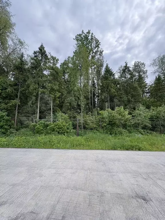 Участок 10 сот. (СНТ, ДНП) - Фото 0