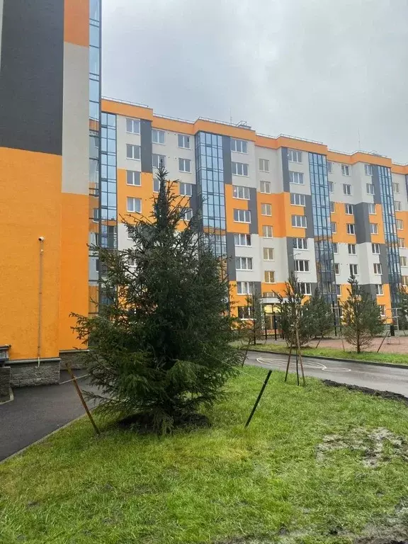 1-к кв. Ленинградская область, Всеволожский район, Заневское городское ... - Фото 1