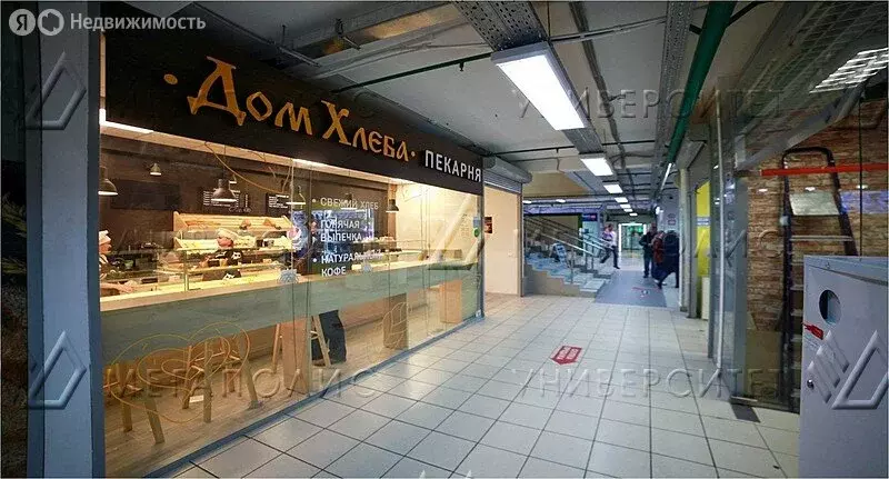 Помещение свободного назначения (49 м) - Фото 0
