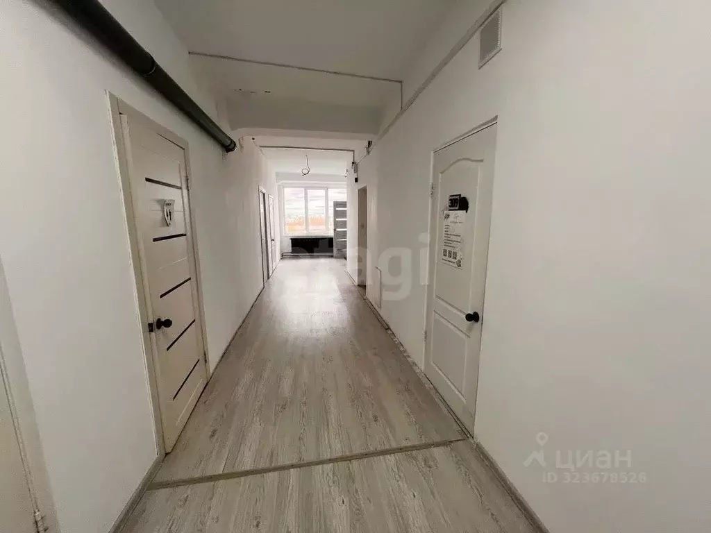 Офис в Курганская область, Курган ул. Карла Маркса, 106 (10 м) - Фото 1