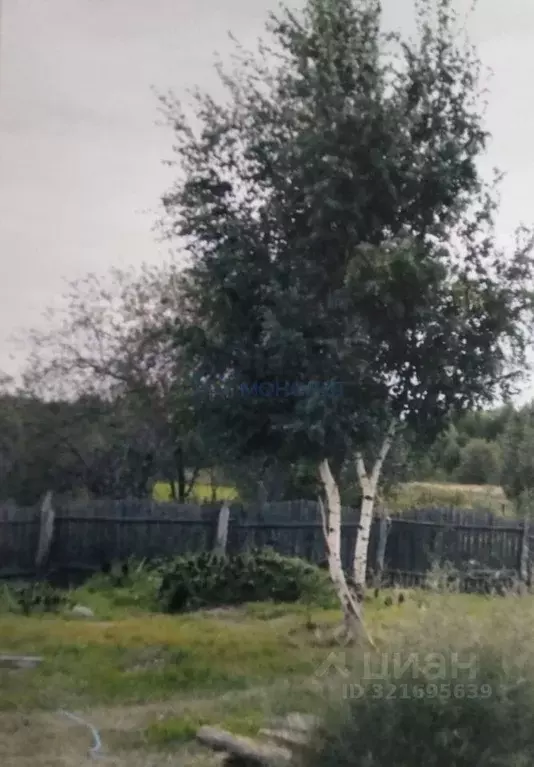 Дом в Нижегородская область, Лысковский район, д. Черная Маза Песочная ... - Фото 1