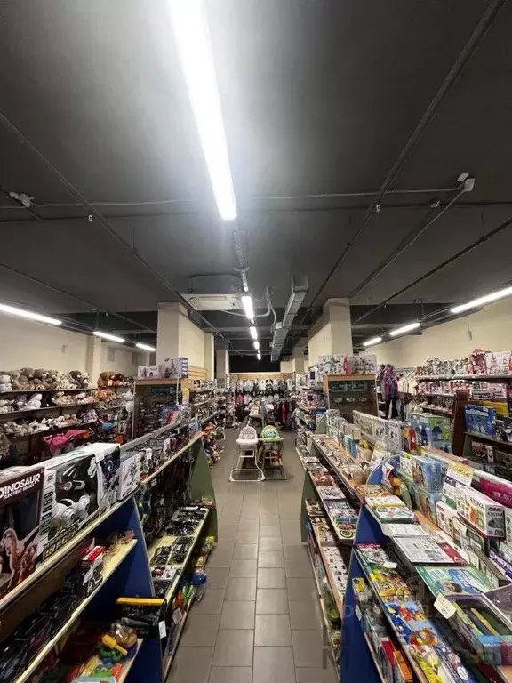 Торговая площадь в Пензенская область, Пензенский район, Засечный ... - Фото 2