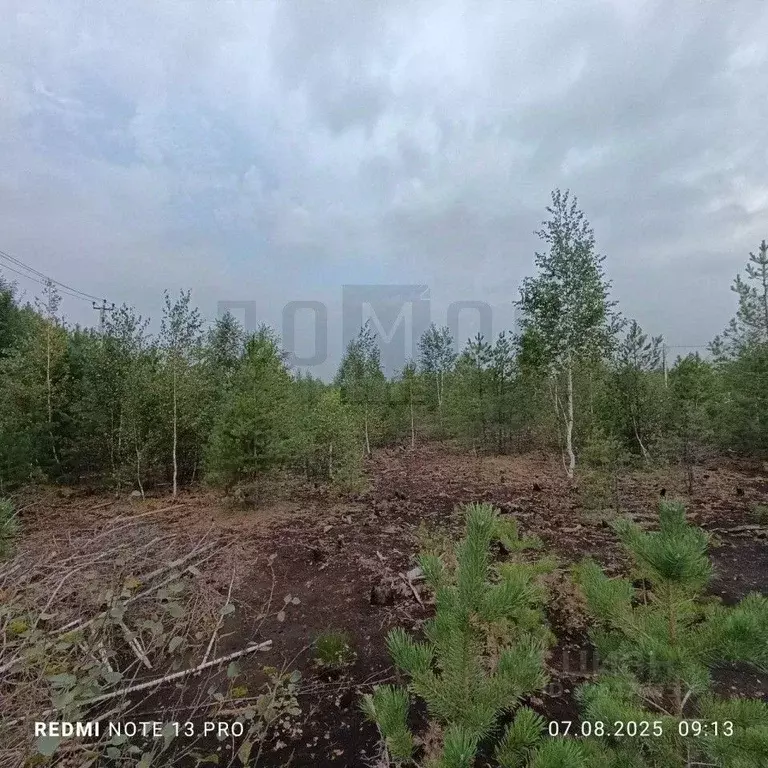 Участок в Свердловская область, Екатеринбург Новый Свет СНТ,  (20.0 ... - Фото 2