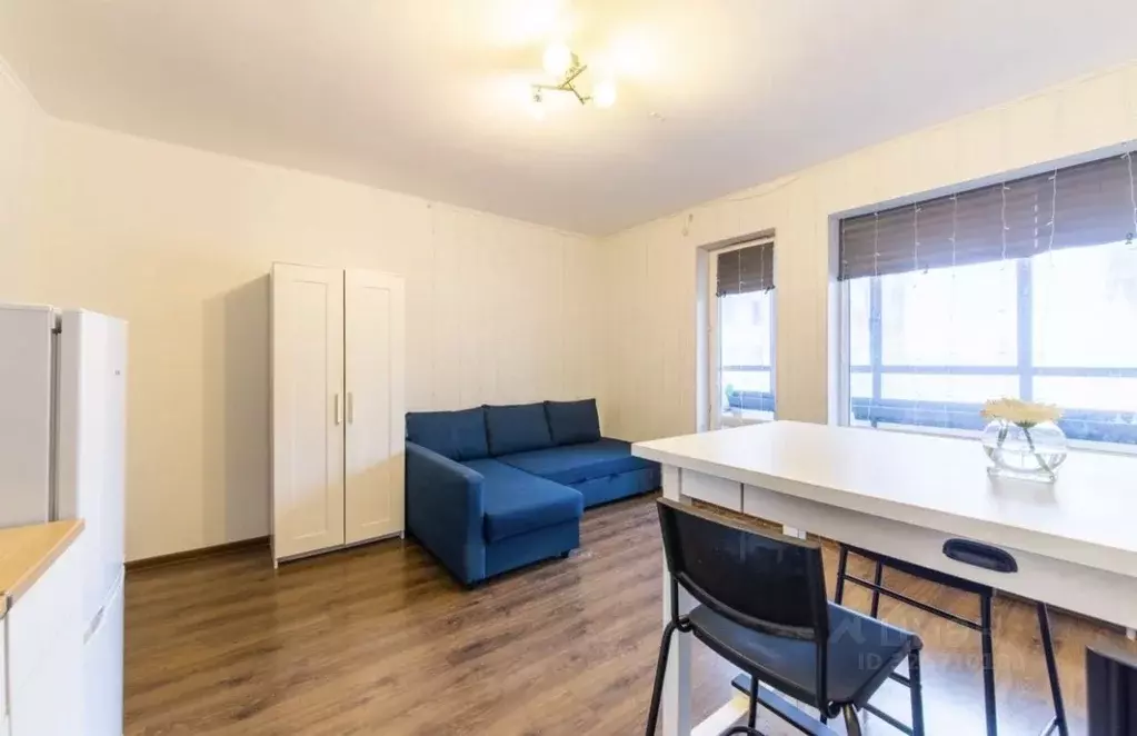 Студия Санкт-Петербург просп. Ветеранов, 175 (24.8 м) - Фото 2