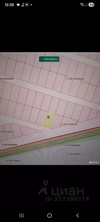 Участок в Нижегородская область, Бор муниципальный округ, д. Ильинское ... - Фото 1