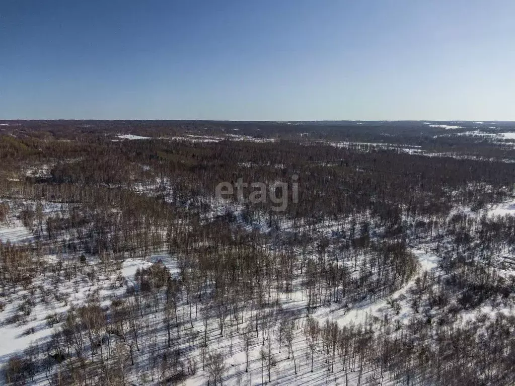 Участок в Новосибирская область, Новосибирский район, Березовский ... - Фото 1