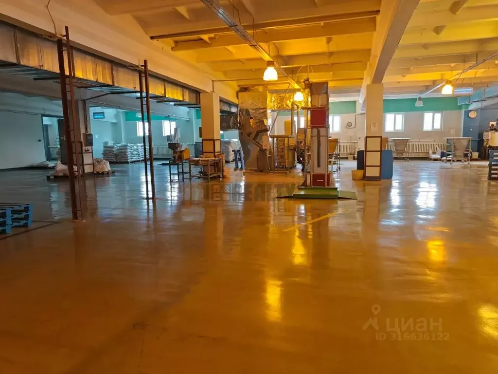 Производственное помещение в Московская область, Лосино-Петровский ... - Фото 1