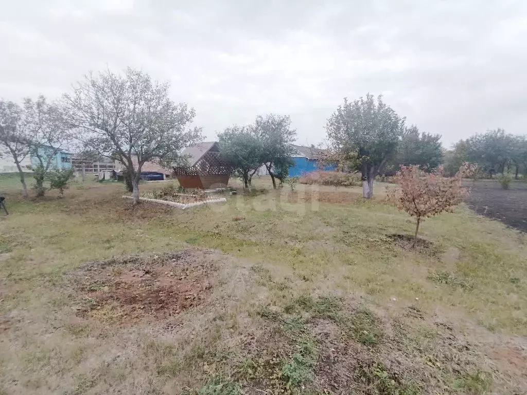 Участок в Белгородская область, Алексеевский муниципальный округ, с. ... - Фото 0