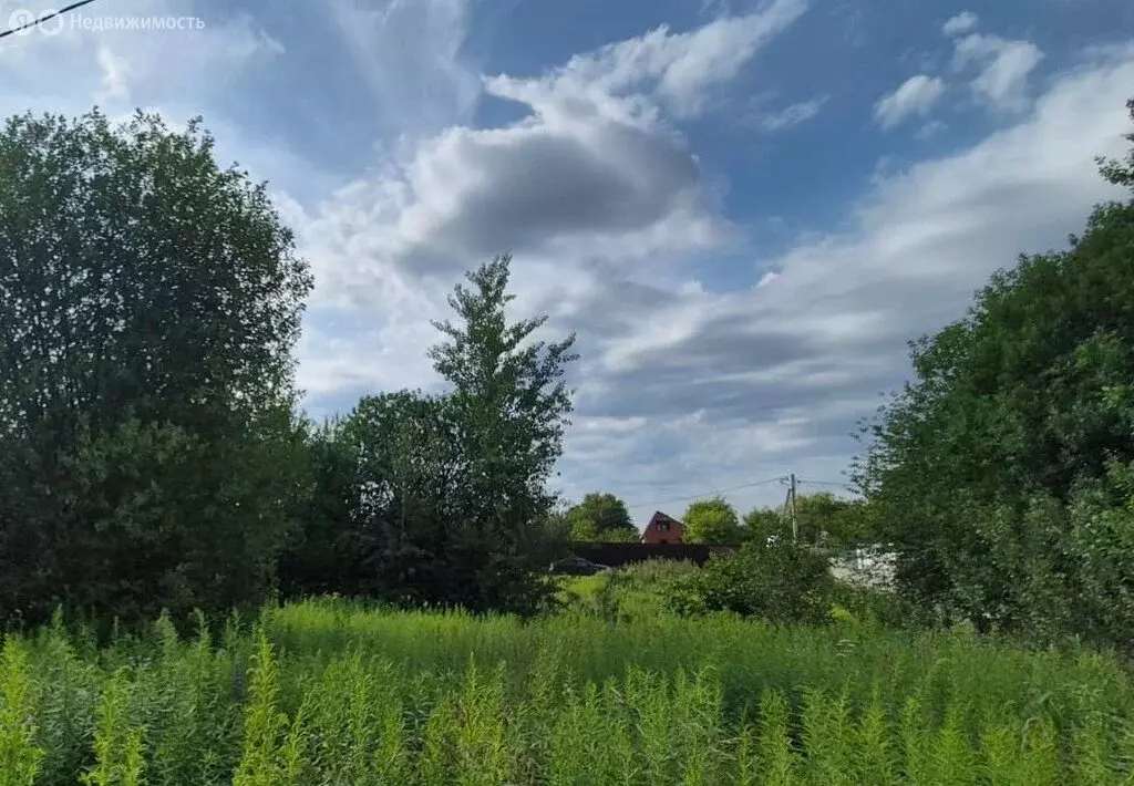 Участок в Толмачево, СДТ Реклама (6 м) - Фото 0