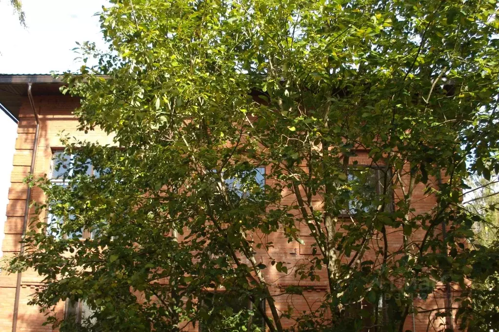 Дом в Санкт-Петербург, Санкт-Петербург, Петергоф ул. Беловой (260 м) - Фото 1