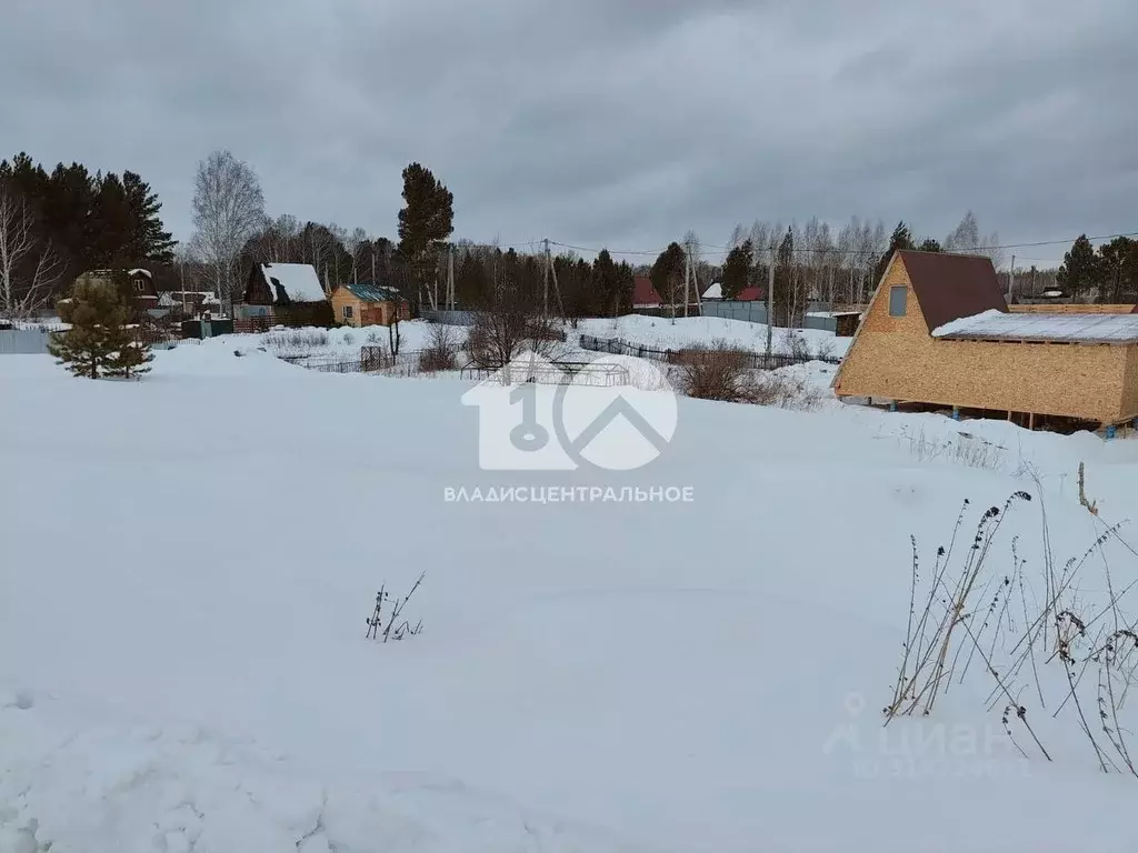 Участок в Новосибирская область, Новосибирский район, Станционный ... - Фото 0