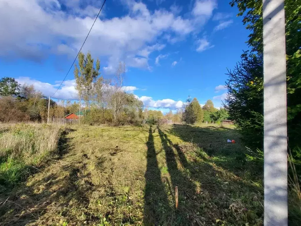 Участок в Псковская область, Плюсский муниципальный округ, д. Которск  ... - Фото 2