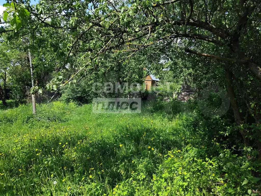 Участок 6,5 сот. (СНТ, ДНП) - Фото 0