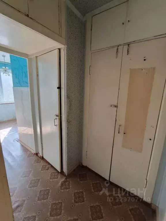 1-к кв. Волгоградская область, Камышин 3-й мкр, 19 (30.0 м) - Фото 1