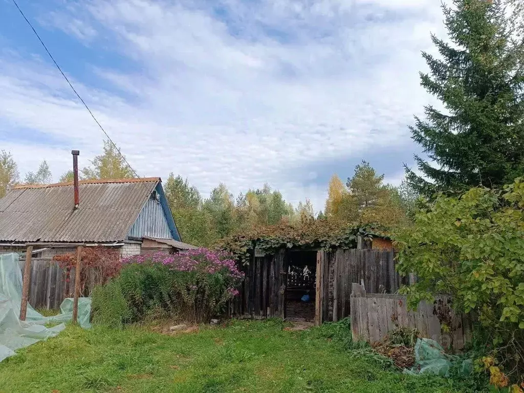 Дом в Брянская область, Брянский район, Стекляннорадицкое с/пос, Химик ... - Фото 1