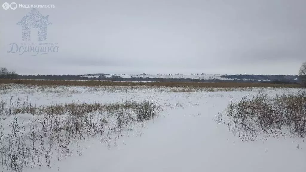 Участок в Воронеж, Малышевская улица (19 м) - Фото 0