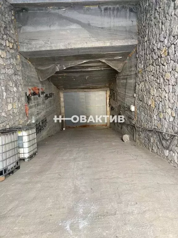 Помещение свободного назначения в Новосибирская область, Искитимский ... - Фото 0