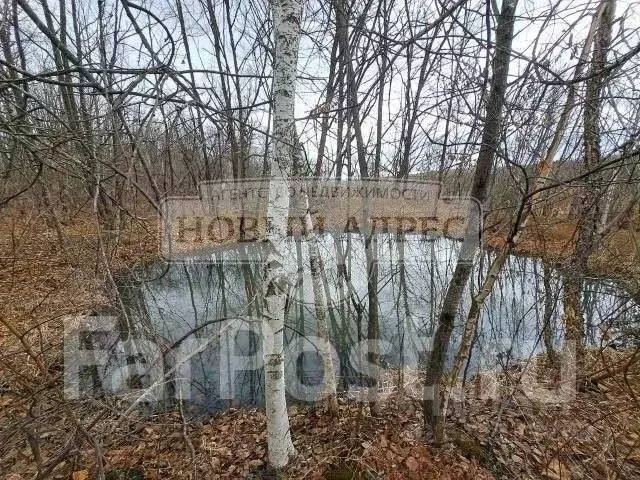 Участок в Приморский край, Яковлевский муниципальный округ, Садовые ... - Фото 1