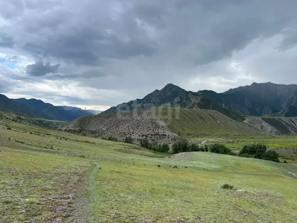 Участок в Алтай, Онгудайский район, с. Малый Яломан  (73.0 сот.) - Фото 1