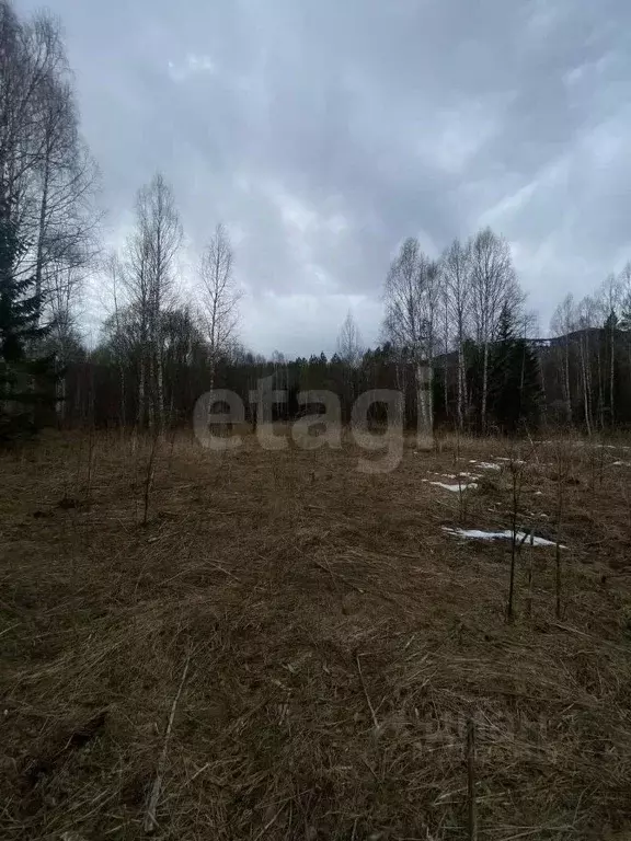 Участок в Алтай, Чойский район, с. Кара-Торбок ул. Дилевская (21.64 ... - Фото 1