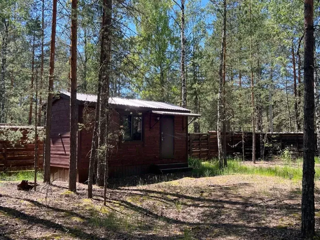 Участок в Нижегородская область, Володарский муниципальный округ, ... - Фото 1