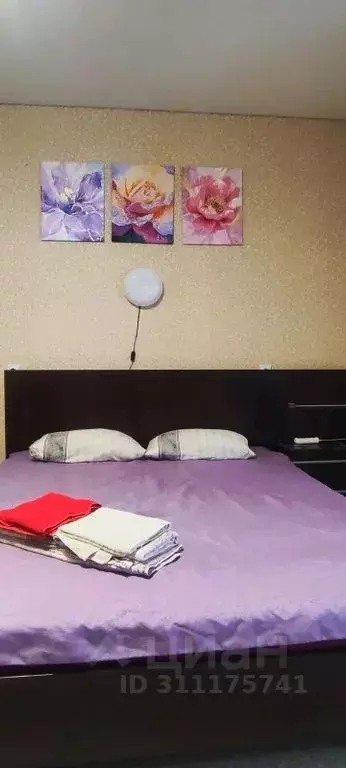 Студия Башкортостан, Стерлитамак ул. Тукаева, 17 (24.0 м) - Фото 1