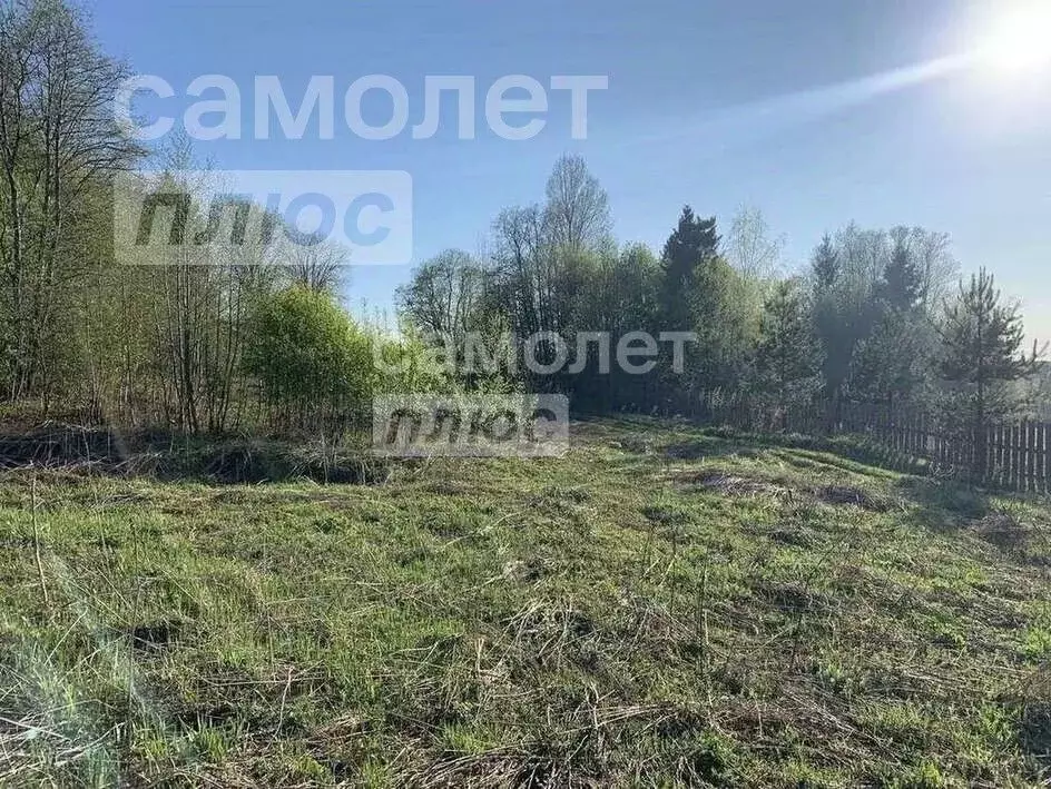 Участок в Вологодская область, Сокольский муниципальный округ, д. ... - Фото 2