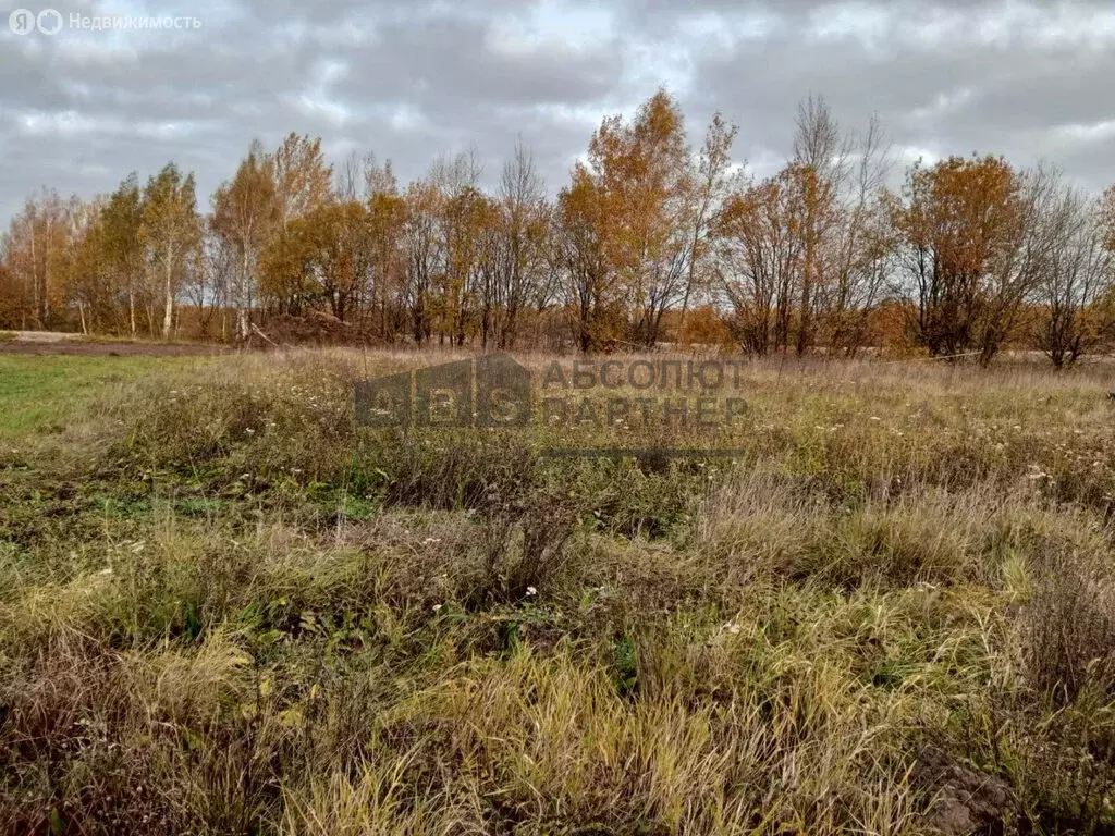 Участок в посёлок Волховец, улица Руставели (10.8 м) - Фото 1