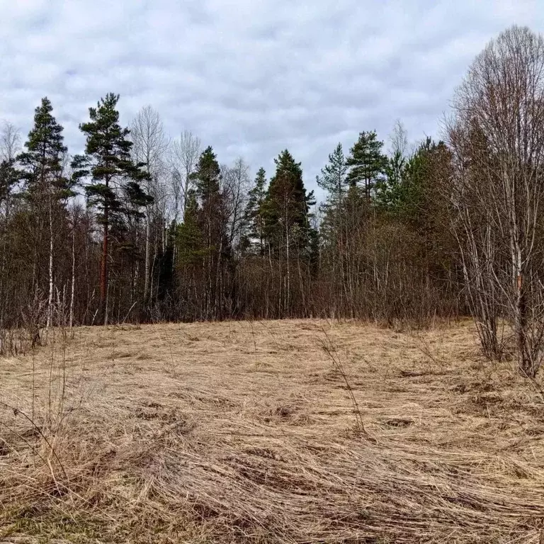 Участок в Ленинградская область, Приозерский район, пос. Севастьяново ... - Фото 1