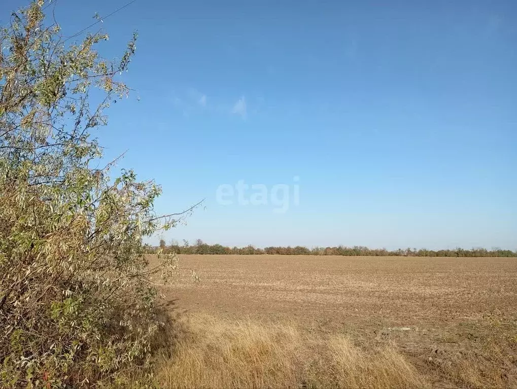 Участок в Крым, Советский район, Ильичевское с/пос, с. Восточное ул. ... - Фото 0